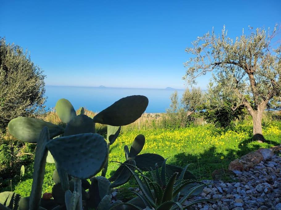 Appartamento Origano Acquedolci Esterno foto